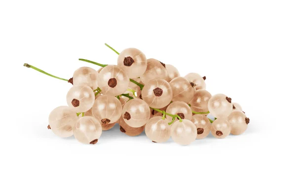 Ribes rubrum ‘Versaillaise Blanche’ (Raisinet blanc)