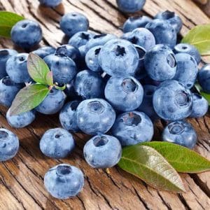 Vaccinium corymbosum ‘Blue Crop’ (Myrtille)